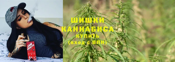 spice Осташков