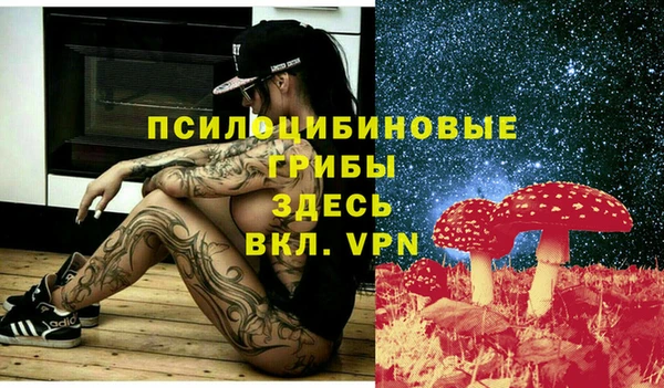 амфетамин Осинники