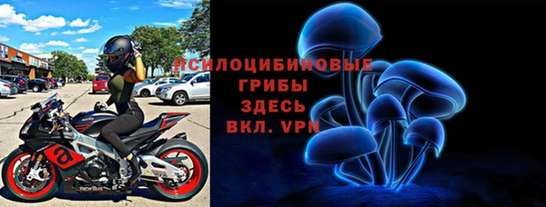 spice Осташков