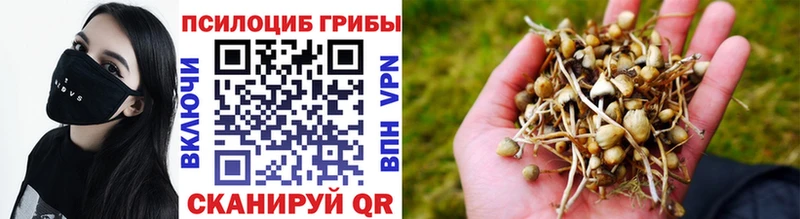 Галлюциногенные грибы MAGIC MUSHROOMS  магазин продажи наркотиков  Шацк 